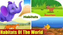 Habitats of the World in Ultra HD (4K)