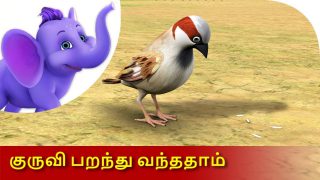 Kuruvi Paranthu Vanthathaam – Tamil Nursery Rhyme for Children in 4K by Appu Series