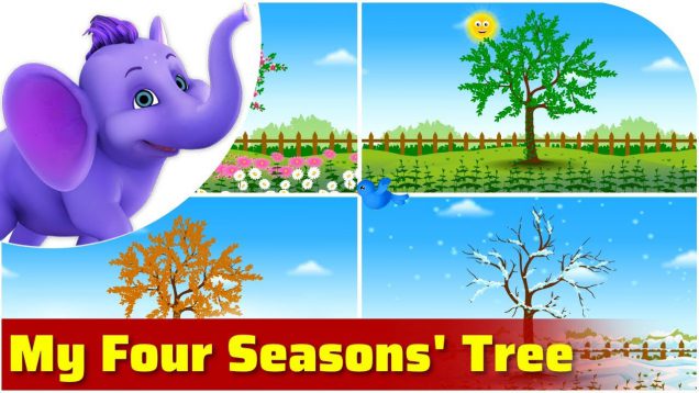 My Four Seasons Tree in Ultra HD (4K)