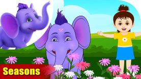 Seasons – Learning song for Kids in 4K by Appu Series