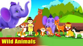 Wild Animals – Learning song for Kids in 4K by Appu Series
