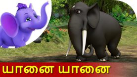 Yanai Yanai – Tamil Song for Kids in 4K by Appu Series