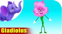 Gladiolus – The Flower Song (4K)
