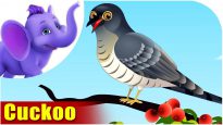 Cuckoo – Bird Song (4K)