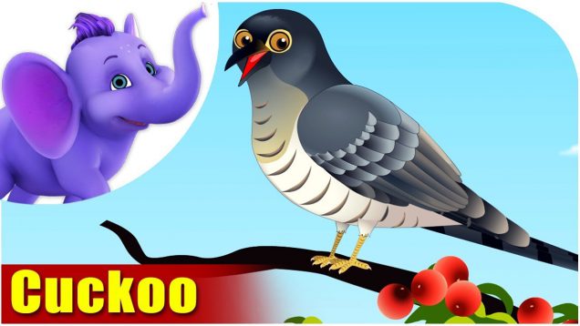 Cuckoo – Bird Song (4K)
