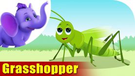Grasshopper – A Bug Song (4K)