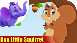 Hey Little Squirrel in Ultra HD (4K)