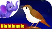 Nightingale – Bird Song (4K)