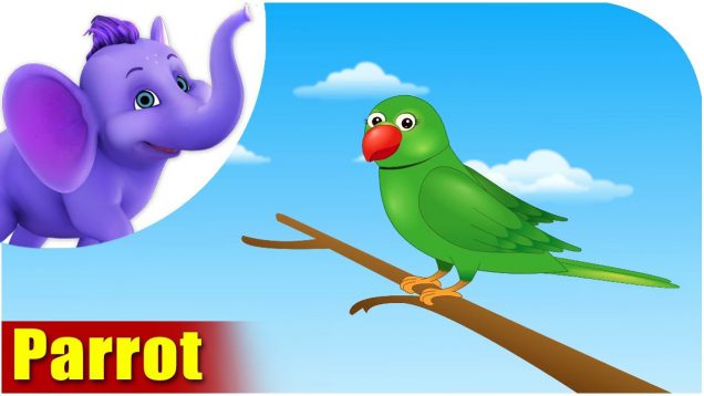 Parrot – Bird Song (4K)
