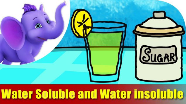 Water Soluble and Water Insoluble – Song on Learning Science